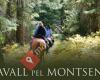 A cavall pel Montseny