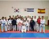 A.d.taekwondo el viso del alcor