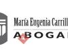 ABOGADA-María Eugenia Carrillo