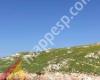 Abogados Garrigues