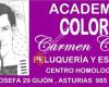 Academia COLOR Carmen Cerra - Peluquería y Estética