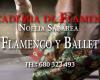Academia de Flamenco y Danzas Noelia Sabarea