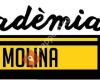 Academia Molina
