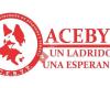 Acebyt