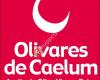Aceite de oliva virgen extra Olivares de Caelum