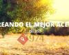 Aceites Moraga