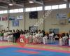 AE Karate Kobudo Tradicional Pirineus