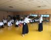 AFAMADRID - Asociación para el Fomento del Aikido de Madrid