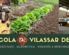 Agrícola de Vilassar de Mar SCCL