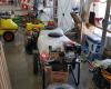 Agro Albor