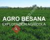 Agro Besana