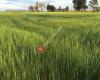 AgroClm El Digital del Campo de Castilla-La Mancha