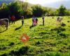 Agroturismo El Capriolo