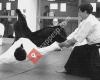 Aikido Segovia