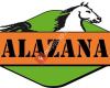 Alazana