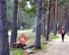 Albergue Camino Primitivo Berducedo