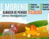 Almacen De Piensos Felipe Moreno