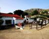 Alojamiento Rural Cortijo San Isidro