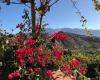 Alpujarra Holiday Home