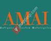 AMAI Antiques & Custom Bikes