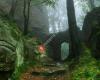 Amazonia Alquimia