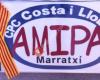Amipa CP Costa i Llobera (Marratxí)