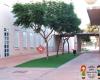 AMPA Nº7 del CEIP Pintor Pedro Cano