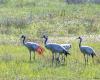 Andalucia Nature Trips