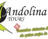 Andolina Tours