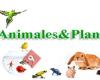 Animales&Plantas