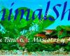 AnimalShop Benissa