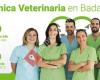 Animax Clínica Veterinaria