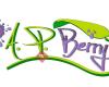 AP-Berry Arandanos de Peñarrubia