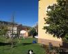 Apartamentos El Pajar del Abuelo