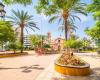 Apartments in Torrevieja Spain