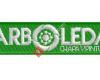Arboleda Chapa y pintura