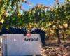 ARROCAL