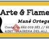 Arte&Flamenco