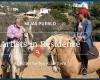 Artists in Residence - Andalucia