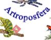 Artroposfera