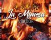 Asador la mimosa