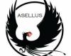 Asellus Dolores