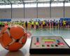 Asociación Andaluza para la Promoción del Fútbol Sala