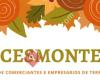 Asociación de Comerciantes e Empresarios de Terra de Montes