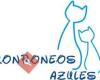 Asociación Felina Ronroneos Azules