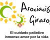 Asociación Girasol