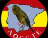 Asociación Ornitológica Cultural del Canario Timbrado Español - Aoccte