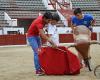 Asociación Taurina Cultural Tauromaquia CV