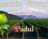 Asociación Vitivinícola Padul