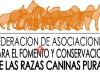 Asociacion canina salamanca